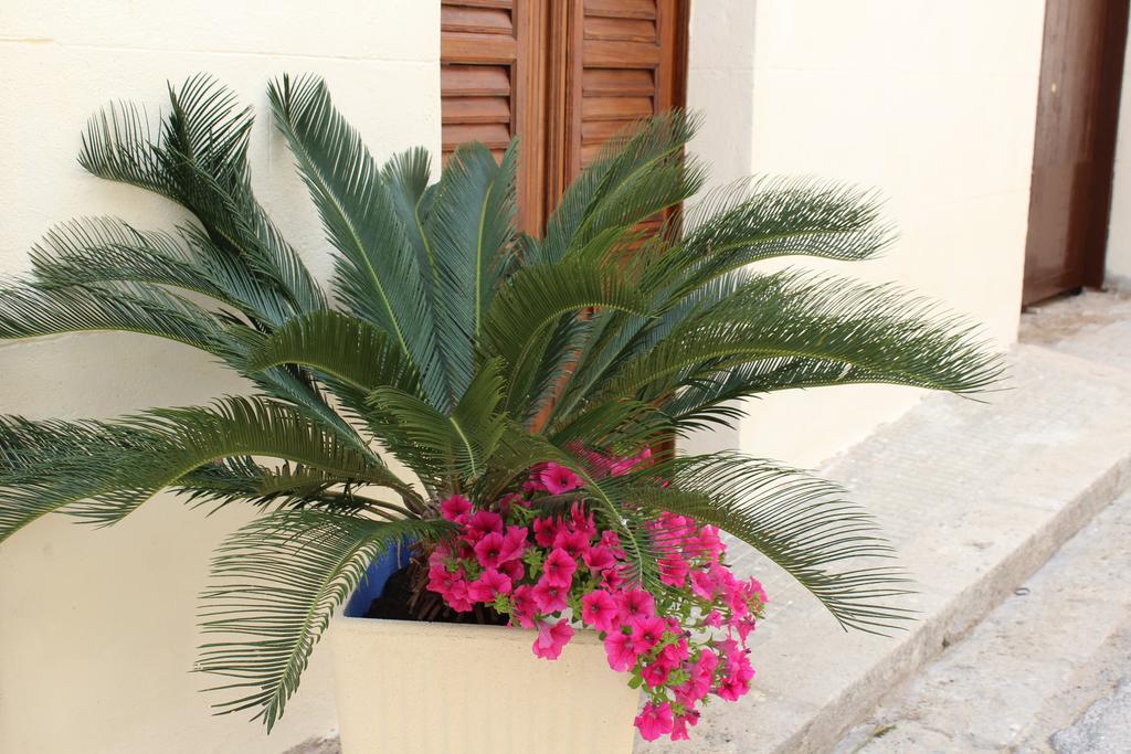 Apartamento Palazzo Taormina Castellammare del Golfo Exterior foto